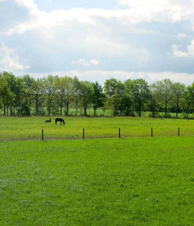 دراختن The Black Horse B&B & More الغرفة الصورة